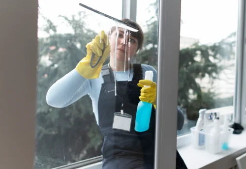 Nettoyage de vitres intérieures et extérieures à Saint-Sauveur-sur-École